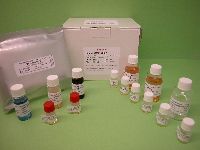 Erioglaucine disodium salt