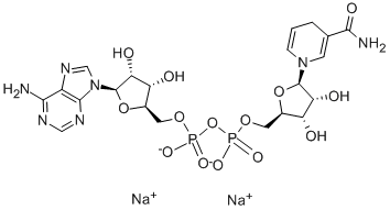 beta-Nicotinamide adenine dinucleotide disodium salt