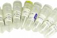 Ammonium alcohol polyvinyl phosphate