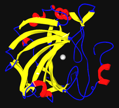 Carbonic anhydrase