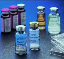 Rat major histocompatibility complexⅡ,MHCⅡAgBⅡH-1Ⅱ ELISA Kit